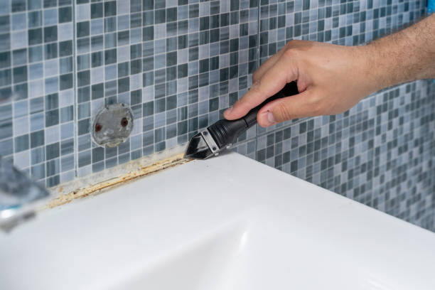 Best Mold Testing  in Louisville, OH